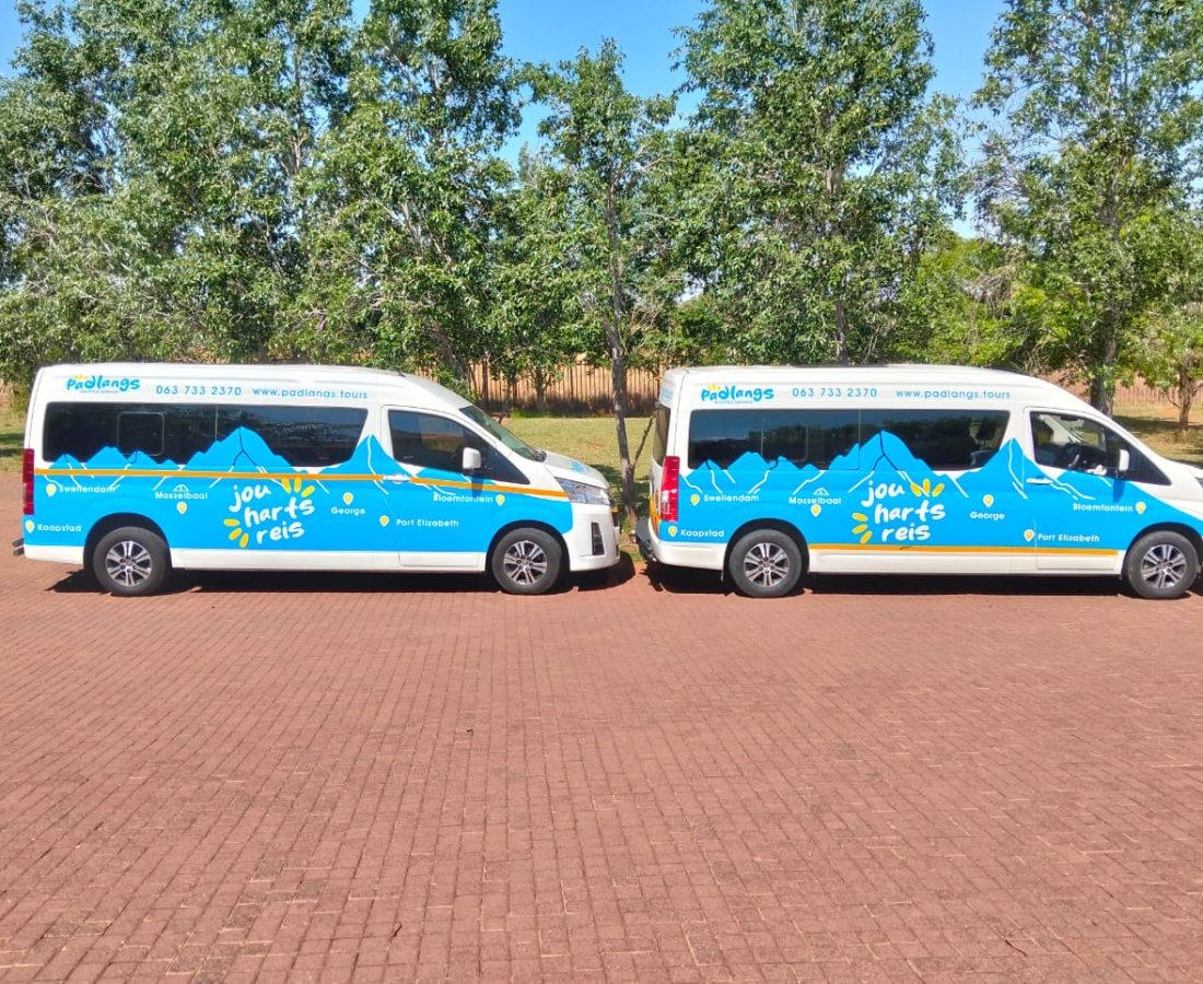 6d36a238-4941-4cf9-95c0-5fdad7e13477 6d36a238-4941-4cf9-95c0-5fdad7e13477